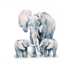 Daily Dose of Mum Life